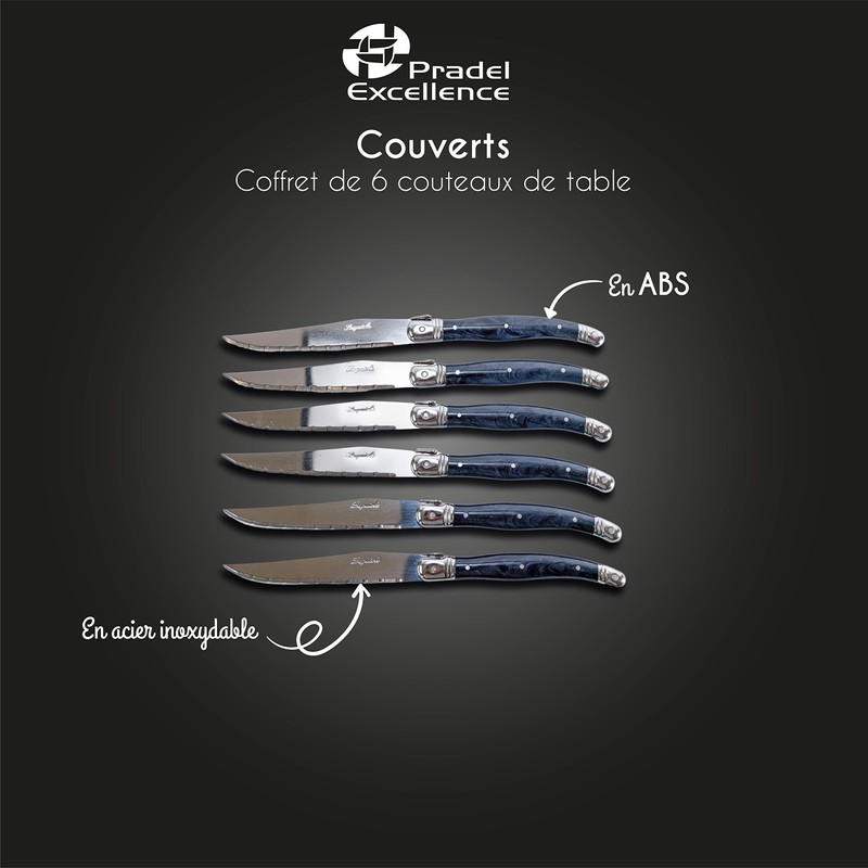 6 couteaux table lame inox