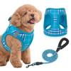 Magshion No Pull Dog Harness and Leash Set for Small