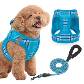Magshion No Pull Dog Harness and Leash Set for Small Dogs, Heavy Duty 5ft Leash, Padded Pet Vest with Adjustable Velcro & Reflective Strips for Walking, Running, Training in Night, Sky Blue, S