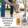 Veterinaria: Absorbine Veterinary Liniment Analgesico Topico Dolor Muscul