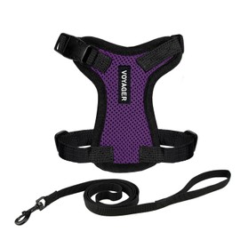 Voyager Step-in Lock Adjustable Cat Harness w. Cat Leash Combo Set with Neoprene Handle 5ft - Supports Small, Medium and Large Breed Cats by Best Pet Supplies - Purple/Black Trim, XXXS