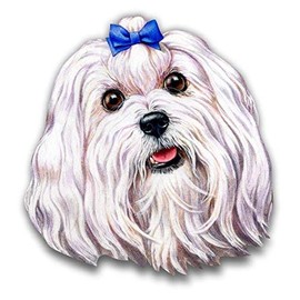 Magnet Maltese Magnetic vinyl bumper sticker sticks to any metal fridge, car, signs 5"