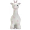 Cherish Spotted Giraffe Piggy Bank, Pink - Color: Blue
