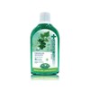 Dentiste Oral Rinse (700ml) / 덴티스테 오랄린스 (700ml)