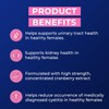 Ostelin Urinary Tract Health Women's Health 30 Tablets
