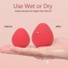 Unaone Makeup Sponges, 4 Pcs Professional Beauty Sponge B Aa