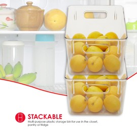 Home Basics Plastic Fridge Bin, Clear | Shatter Resistant Plastic | Handles on Both Sides | Open Top Design | Rubber Bottom Liner (Medium)