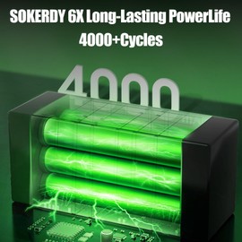 SOKERDY LiFePO4 Battery 12V 100Ah Lithium Battery, Built-in 100A BMS, 3C Discharge, 15000 Cycles, Perfect for Golf Cart, Trolling Motor, Marine, Home Energy Storage and Off-Grid
