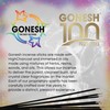 Gonesh Best Friends Purrrfect Pet Collection - Incense Sticks Variety