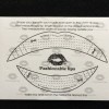 Gao Feng Temporary Lip Tattoo Sticker Lipstick Art Transfer With