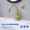 Kablle Bathroom Sink Faucet with Pull Down Sprayer, Brushed Gold