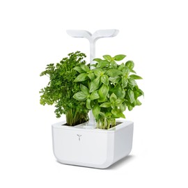 Veritable Exky Classic Indoor Garden, Arctic White