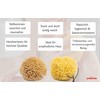 Pasiphae Unbleached Honeycomb 100% Natural Bath Sea Sponge from Greece,