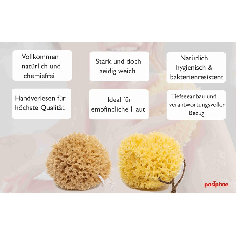 Pasiphae Unbleached Honeycomb 100% Natural Bath Sea Sponge from Greece,