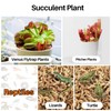 3 Oz Sphagnum Moss for Orchids - Sukh Sphagnum Peat