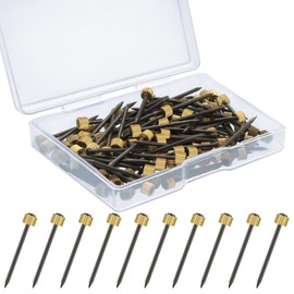 Hotop 100 Pieces Picture Hanging Nails 0.16 x 0.98 Inch Wall Decorative Painting Nails Hanging Pictures Frame Art Hanger Hardware Tool Holds up to 5-30 Lbs with Case for Claw Drywall