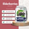 Dried Elderberries Organic 1 lb Bulk Bag - USDA Certified,