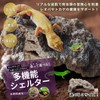 Archnote Reptile Leopard Gecko Shelter Lizard Corn Snake Turtle Rock