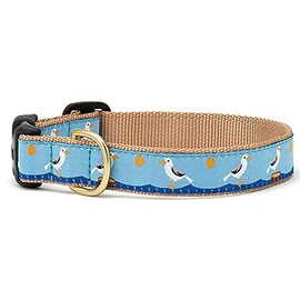 Up Country Gull Watch Dog Collar, Medium (12 to 18 inches) 5/8 inch Narrow Width