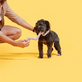 Peps Pet Toy Natural Rubber Treat Bite Toy (Purple, Small)