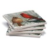 Counterart Absorbent Tumbled Tile Stone Coaster Set - Winter Birds