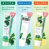 Denti.s Etiquette Paste Toothpaste 100g Mint
