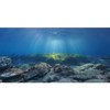 AWERT Ocean Floor Fish Tank Background Underwater Stone Aquarium Background