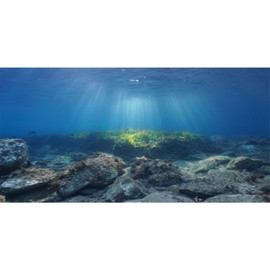 AWERT Ocean Floor Fish Tank Background Underwater Stone Aquarium Background 48x24 inches Vinyl