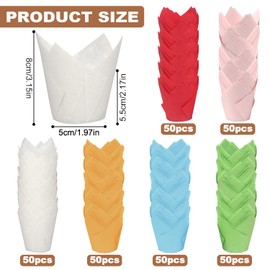 Lighterday 300 Pcs Cupcake Cases Colors Mixed Muffin Cases for Baking Greaseproof Tulip Baking Cups,Muffin Cases for Weddings Birthdays Party (Colorful & 300 Pcs)