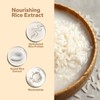 Rice Toner for Clear, Even Complexion with Brown Rice Extract,