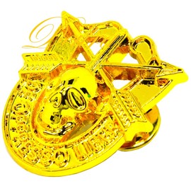 Special Forces Skull Crest DI Pin Uniform US Army SF Airborne SOG Insignia GOLD Plated 1 1/4"