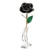 Long Stem Dipped 24k Gold Trim Red Rose In Gold