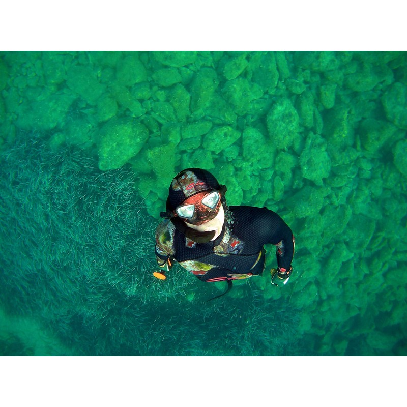 C4 Falcon Mask Firestone