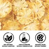Dried Pineapple Dehydrated Slices Cocktail Garnish - 250g/8.8oz Freeze Dried