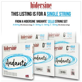 Hidersine Andante CELLO D String For 4/4-3/4 Size. Steel Core, Alloy String for Longevity & Ease of Playing Feel. Excellent Tone & Great Value. For Cello Students with Full Sized or 3 Quarter Cellos