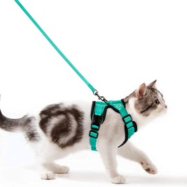 Cat Harness with Lead, Escape Proof Cat Lead Set, Adjustable, Soft Kitten Vest with Reflective Strips, Chest Harness for Small Kittens (Green, XXS)
