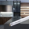 Wesome Lighting 22 Inch F14T5/DL Fluorescent Light Bulb, 6500K Daylight,