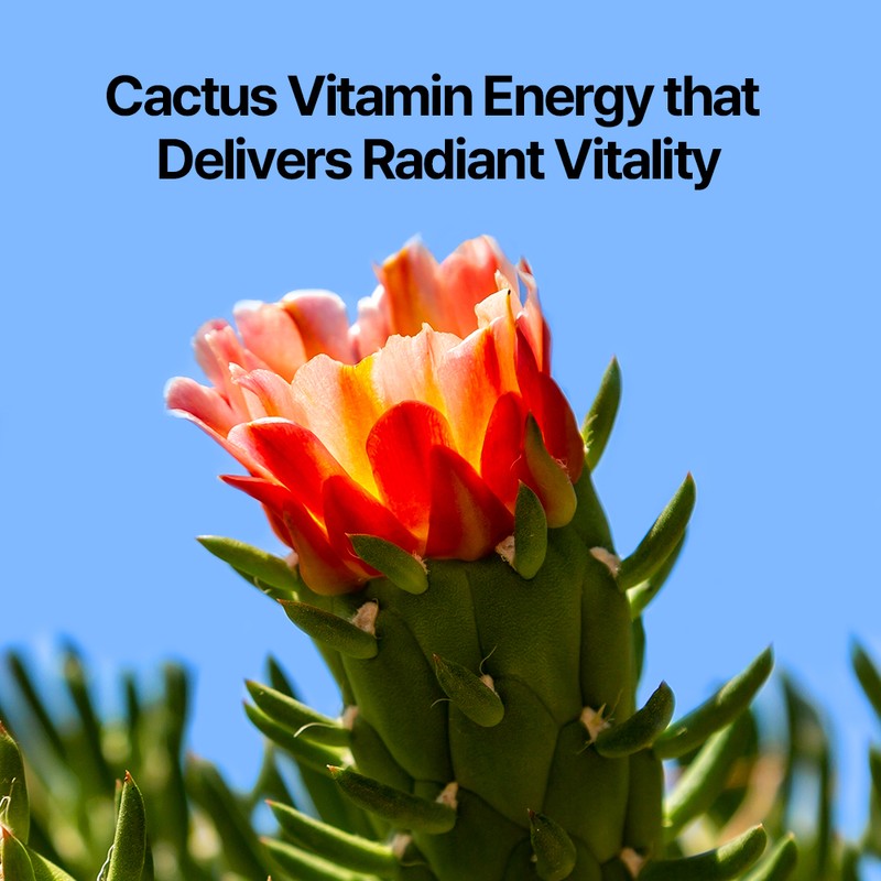 PyunKang Yul [PyunKang Yul]Hand Cream Dancheong 75ml