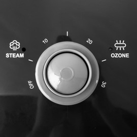 Professional Facial Steamers with Wheels, for Salon Beauty and Spa(Black, 28.94"x 28.94"x 40.94").