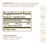 Solgar Choline 350 mg - 100 Vegetable Capsules, Pack of