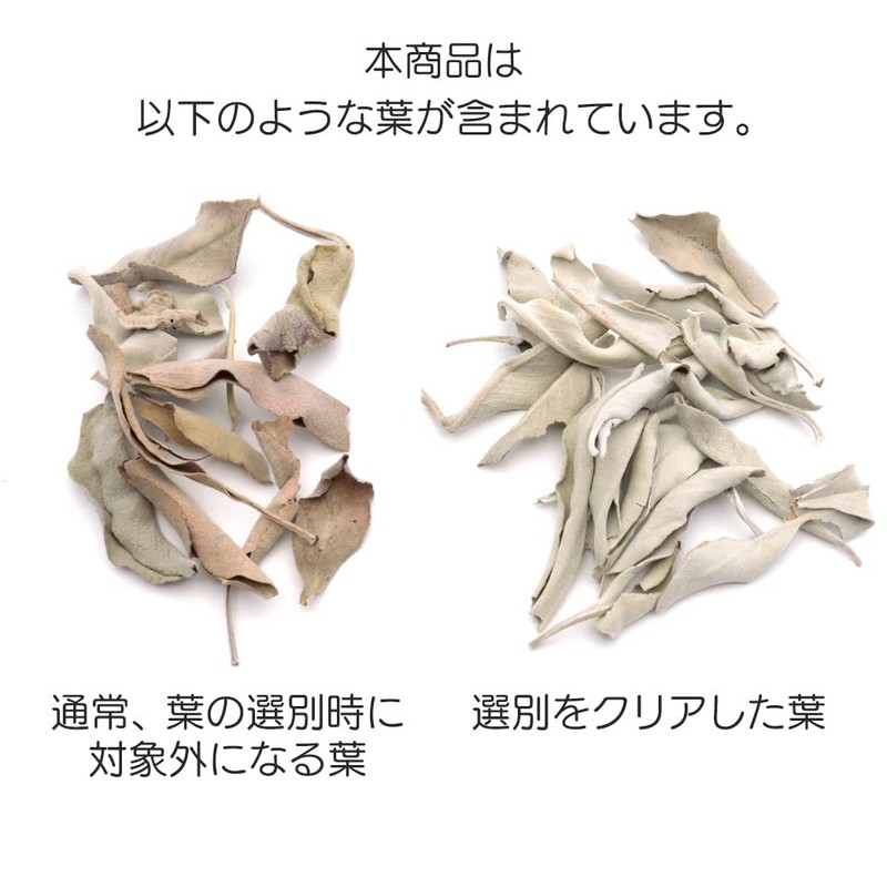 White Sage, Crush, No Selection, 3.5 oz (100 g), No