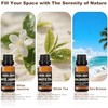 Essential Oil Refill Set for Car and Home Diffusers, 6