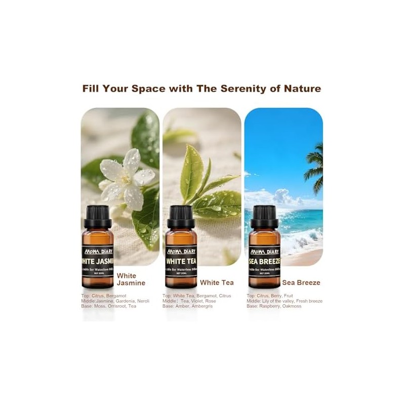 Essential Oil Refill Set for Car and Home Diffusers, 6