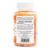NaturesPlus Gummies Vitamin C Orange - Nutritious and Delicious Gummies