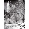 Psaris Productions Central Park New York Christmas Cards Boxed With