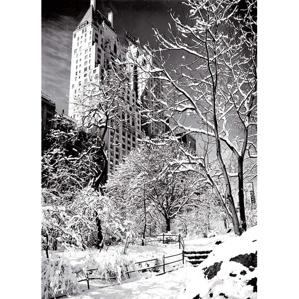 Psaris Productions Central Park New York Christmas Cards Boxed With