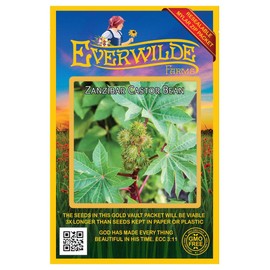 Everwilde Farms - 10 Zanzibar Castor Bean Wildflower Seeds - Gold Vault Jumbo Seed Packet