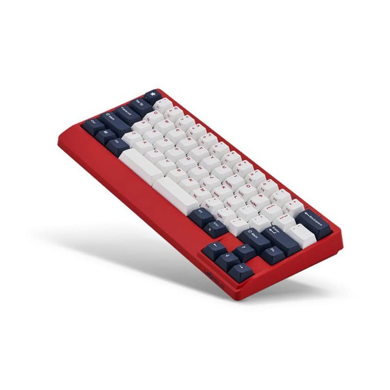 Leopold FC650MDS White Blue Star PD 65% Double Shot PBT