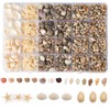 Baiinjiene 1300 PCS Small Seashells for Crafts, Tiny Mixed Sea