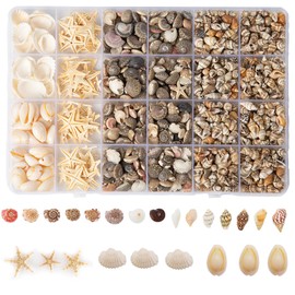 Baiinjiene 1300 PCS Small Seashells for Crafts, Tiny Mixed Sea Shells with Starfish, Natural Beach Seashells 0.4–1 Inch for DIY, Vase Filler, Aquarium, Wedding & Home Decor